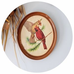 ✨Vintage Cardinal Bird Picture